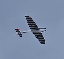 L'Ahi dans son lment