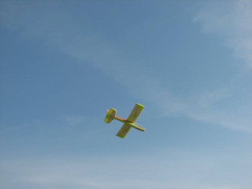 Le bee sous un beau ciel bleu