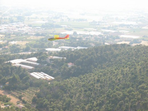 Le Bee au fenouillet