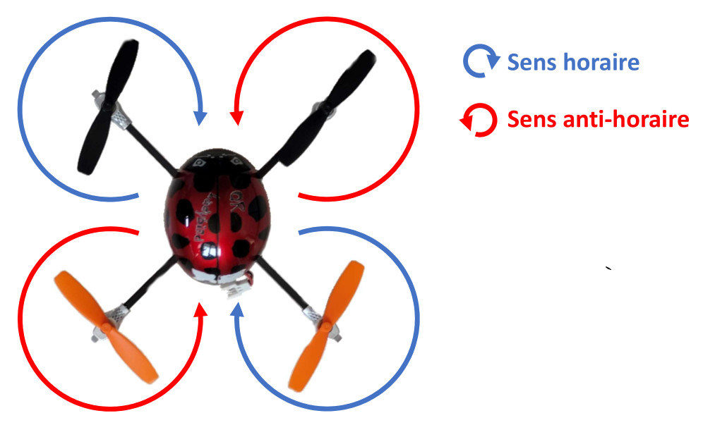 Sens de rotation moteurs Ladybird