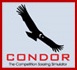 Condor Soaring